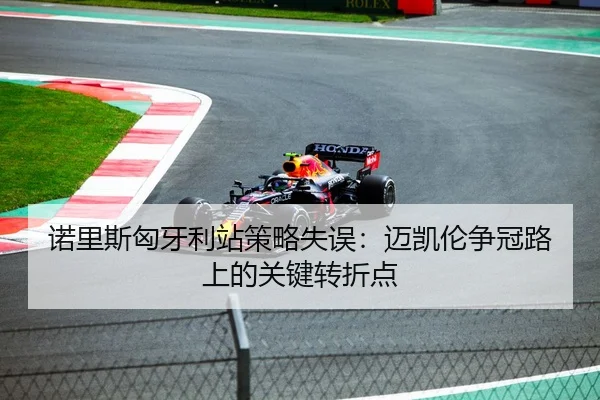 诺里斯匈牙利站策略失误：迈凯伦争冠路上的关键转折点