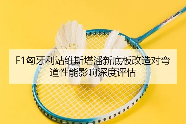 xiong-ya-li-zhan-wei-si-ta-pan-xin-di-ban-gai-zao-dui-wan-dao-xing-neng-ying-xiang-shen-du-ping-gu-2-219.jpg