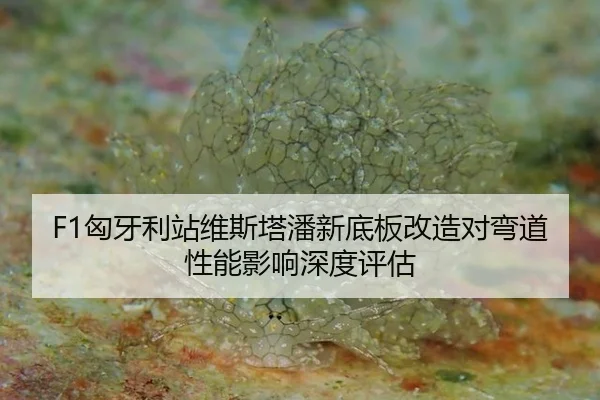 F1匈牙利站维斯塔潘新底板改造对弯道性能影响深度评估