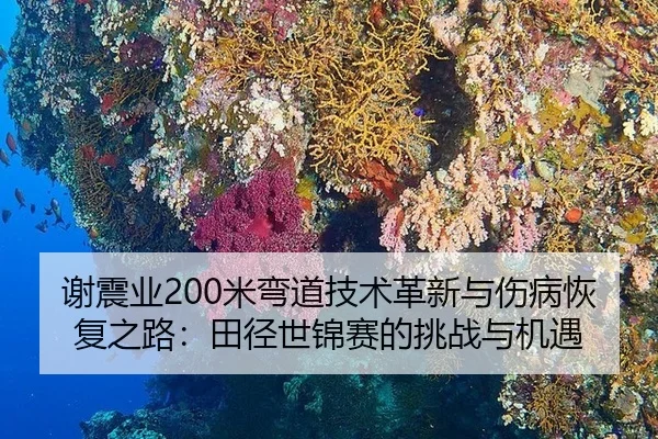 xie-zhen-ye-mi-wan-dao-ji-shu-ge-xin-yu-shang-bing-hui-fu-zhi-lu-tian-jing-shi-jin-sai-de-tiao-zhan-yu-ji-yu-3-234.jpg